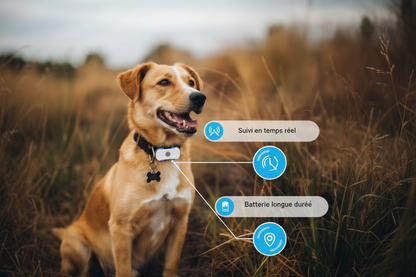 Traqueur GPS